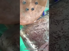 Saldatura del serbatoio dell'acqua con saldatrice a punti